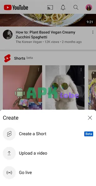 Download Youtube APK for Android